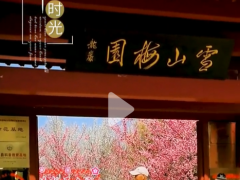 沂水雪山梅园盆景艺术展即将开幕了！！
