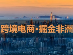 2024首届中非国际贸易【非洲商机】  （沂水）交流峰会开始招商了！